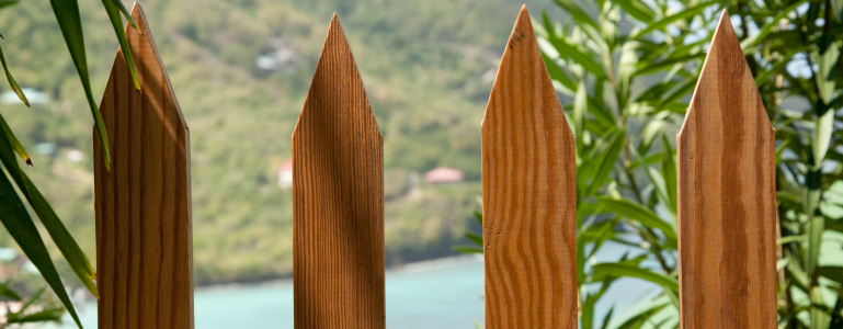 Southern Yellow Pine Caribbean Woods Ltd. | Southern Yellow Pine